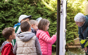 Általános nevelő és fejlesztő foglalkozások